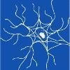 Michigan Neurology Associates Logo