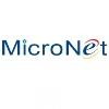 MicroNet IT Solutions Logo