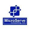 MicroServe Consulting Logo