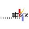 Microsolve Consulting Logo