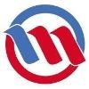 Microtel Netlinks Logo