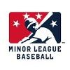 MiLB Logo