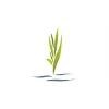 Minnehaha Senior Living Logo