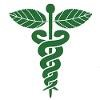 Mint Physician Staffing Logo