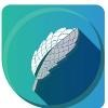 Mintly Logo