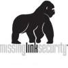 Missing Link Security Logo