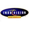 MNC SkyVision Logo