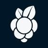 MoBerries Logo
