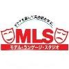 Model Language Studio Logo