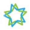 Modern Star Logo