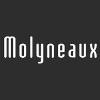 Molyneaux Tile Carpet Wood Logo