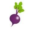 Monadnock Food Logo
