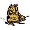 Monarc Construction Logo