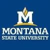 Montana State University Logo