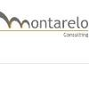Montarelo Consulting Logo