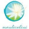 Montecatini Logo