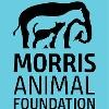 Morris Animal Foundation Logo