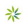 Morrison Child and Family Services Logo