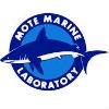 Mote Marine Laboratory Logo