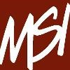 Motivational Systems Logo