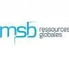 MSB Ressources Globales Logo