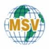 MSV International Logo