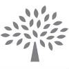 Mulberry Logo