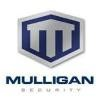 Mulligan Security Logo
