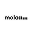 Museum of Latin American Art Logo