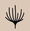 Mynd Spa and Salon Logo