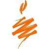 Naandi Foundation Logo