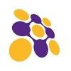 Naizak Global Engineering Systems Logo