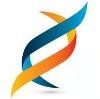 Nalashaa Solutions Logo