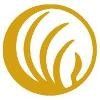 NAMI Logo