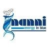 Nanni Industries Logo