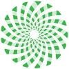 NanoSonic Logo