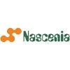 Nascenia IT Logo