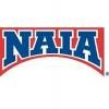 National Association of Intercollegiate Association Logo
