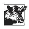 National Beef Logo