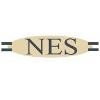 National Enterprise Systems Logo