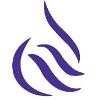 National Petroleum Services Company Logo