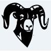 National Products (RAM Mounting Systems) Logo
