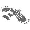 Natural History Book Service Logo