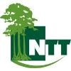 Nature Timber Trading Company Logo