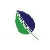 Natures Second Chance Hauling Logo