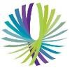 NaviNet Logo