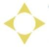 NCO Financial Systems Logo