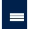 Nei-Turner Media Group Logo
