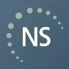 Nelson Schmidt Logo