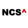 Nenosystems Consulting Services Logo